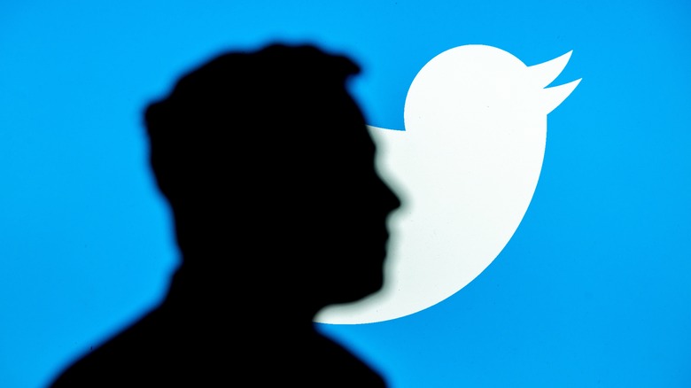 Silhoutte of Elon Musk against Twitter logo.