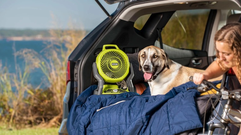 Ryobi fan in a car trunk