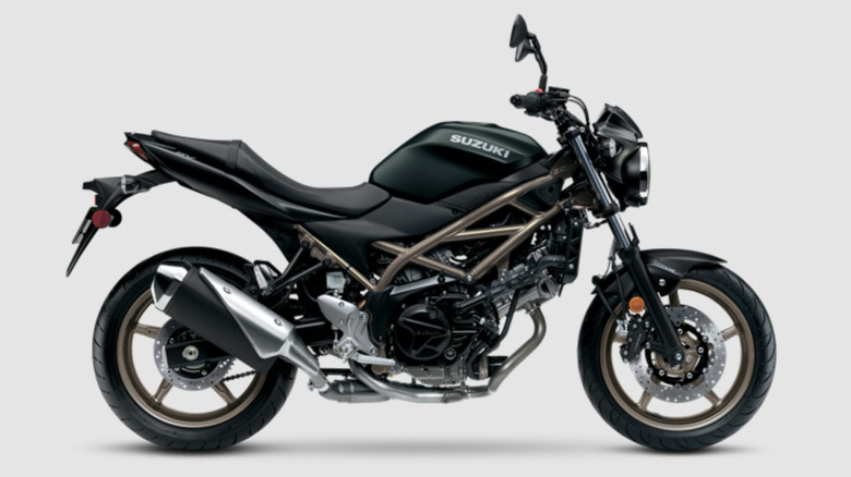 Suzuki SV650 in black and dark gold