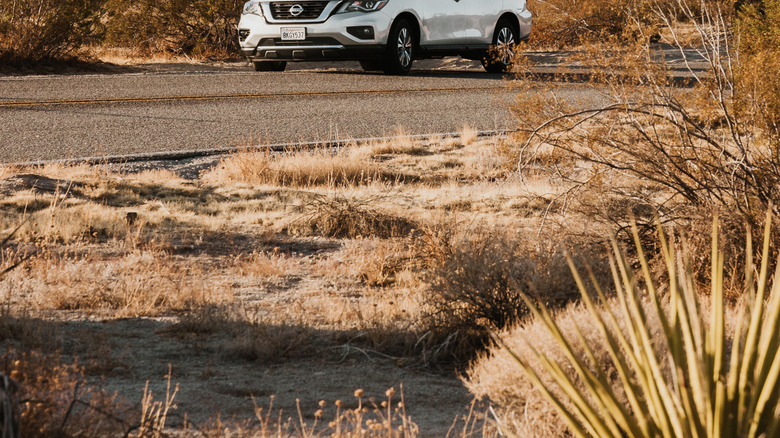 A 2019 Nissan Pathfinder in the middle of a tree park, in a silver colorway with the left two quarters visible