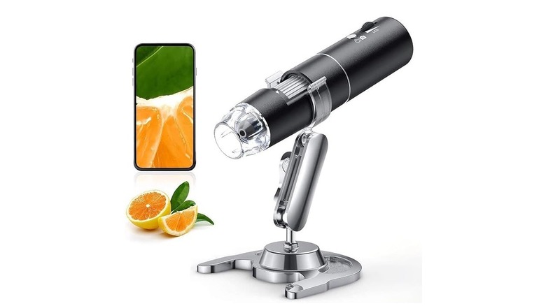Digital microscope on stand with close-up on fruit