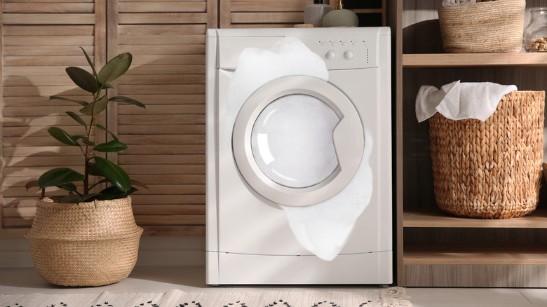 Washer with bubbles coming out the sides of the door
