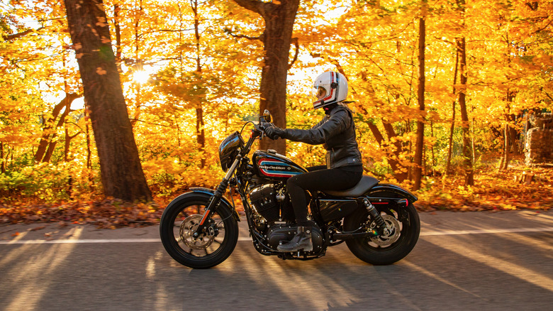 A helmeted rider on an Iron 1200 with an autumn forest in the background