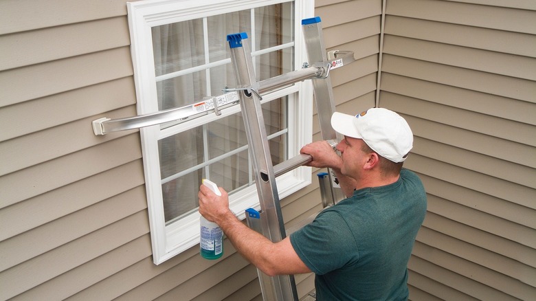 Person using Werner ladder to clean windows