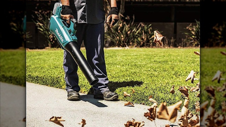 Man using a leaf blow to clear old leaves from the sidewalk.