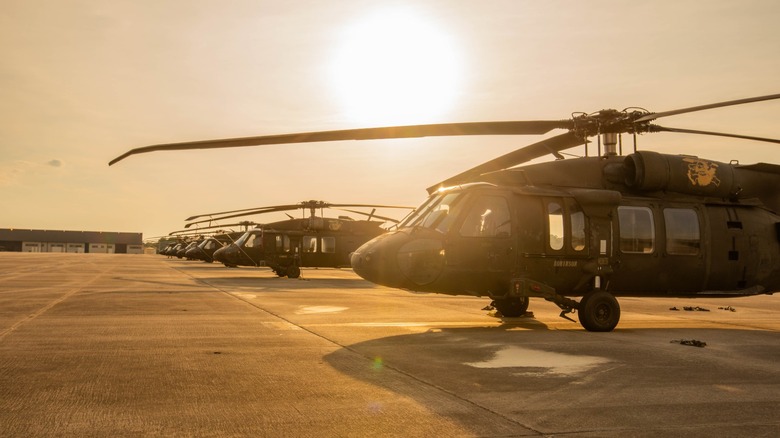 Multiple UH-60 Black Hawk helicopters during golden hour