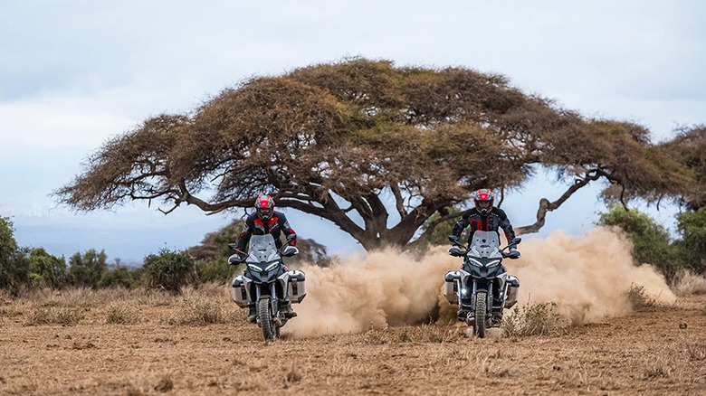 Two riders side by side on 2025 Ducati Multistrada V4 Rallys, cruising across a dusty grass plain.