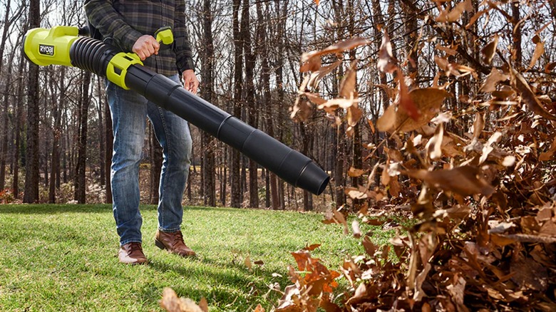 The 40V HP Brushless 850 CFM Backpack Blower used on some leaves in a clearing