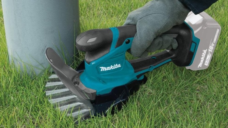 cutting grass with Makita shears