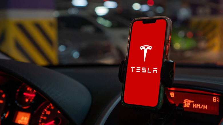 A person holding up a phone with the Tesla App loading screen on it