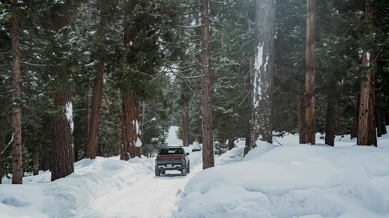 A Rivian R1T driving through the snow in the woods.