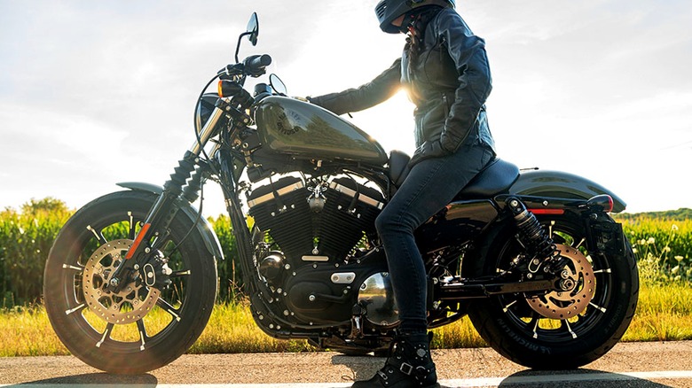 A rider in black protective gear and helmet sitting on a black Harley-Davidson Sportster motorcycle, parked on the side of a road with grassy fields in the background and sunlight streaming from behind.