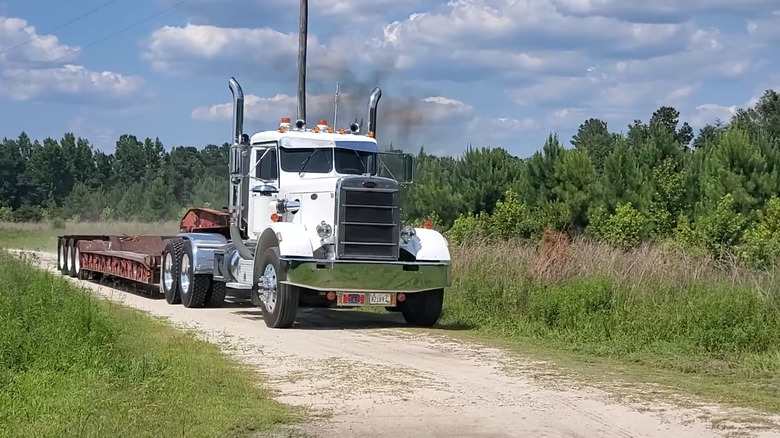 A white Peterbilt needle nose 351 moving through an overgrown track towing a flatbed