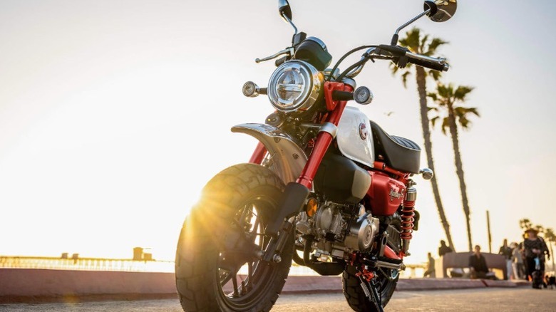A red Honda Monkey 124 motorcycle