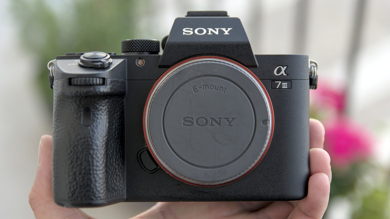 A person holding a Sony A7 III camera