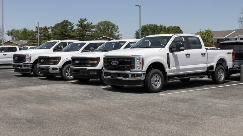 A line of Ford F-250 pickup trucks in a parking lot on a sunny afternoon