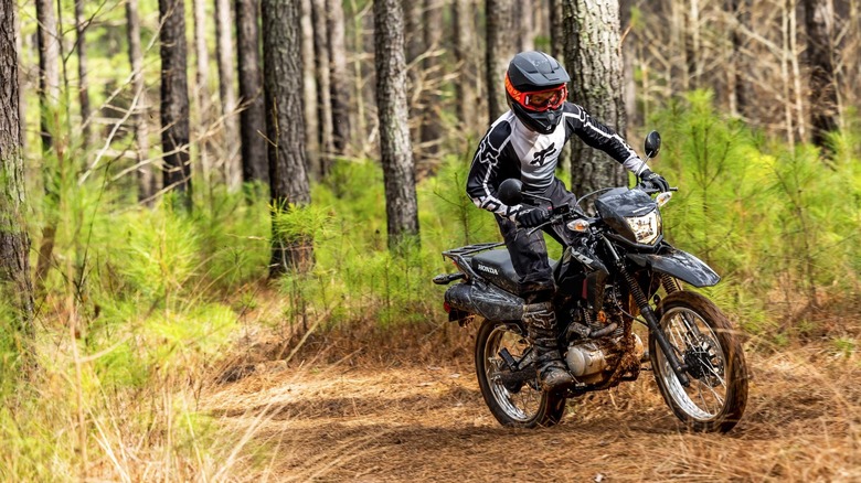 a rider going through the forest on a Honda XR150L