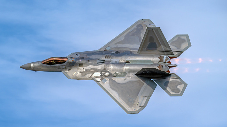 F 22 Raptor in left bank profile view