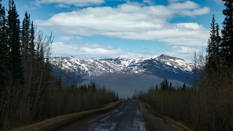 Wet road of Dalton Highway in Alaska