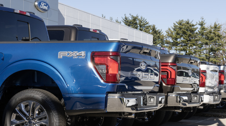 Rear ends of Ford F-150s