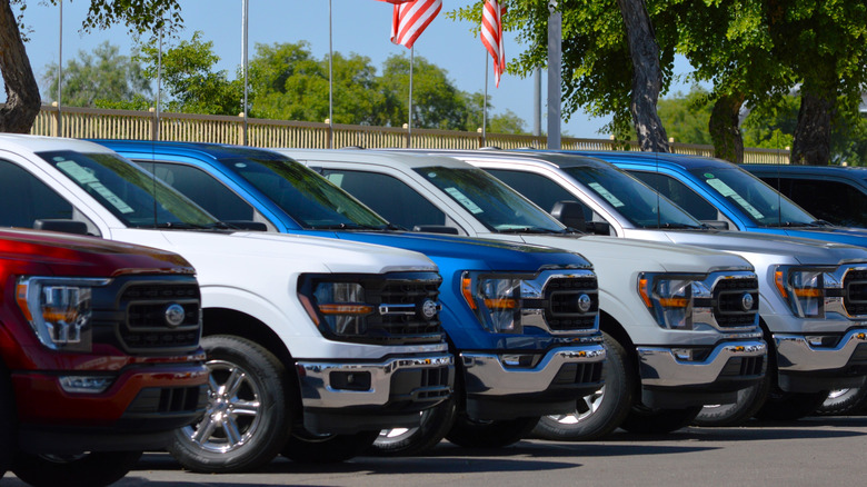 ford f-150 trucks lined up at dealership