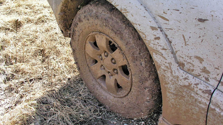 Muddy car tire