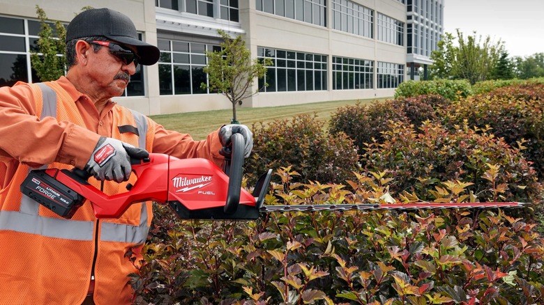 trimming a bush with M18 Fuel hedge trimmer