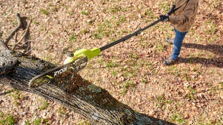 Person using Ryobi pole saw