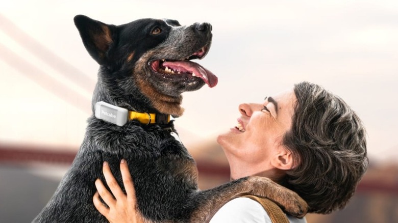 Person hugging dog wearing GPS device on collar