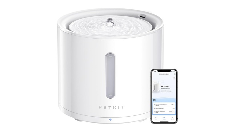 White pet water fountain