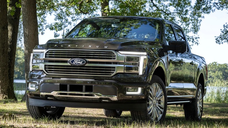 A black Ford F-150 Platinum pickup truck is parked on grass under tall trees with a lake in the background.