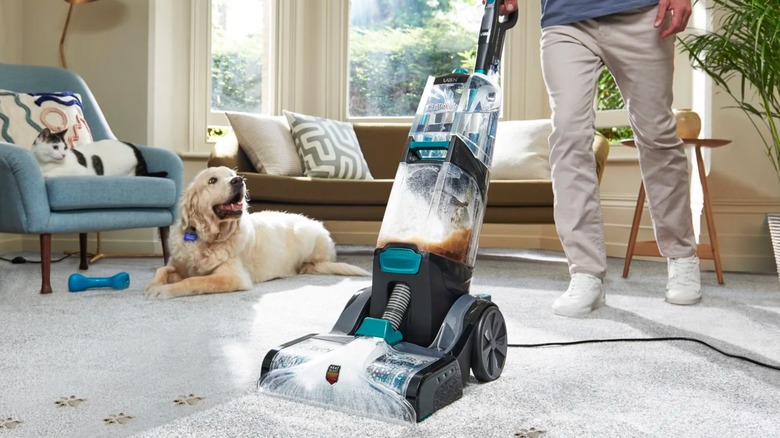 vacuuming carpet with a Vax