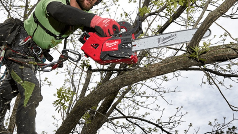 cutting tree branches with Milwaukee chainsaw