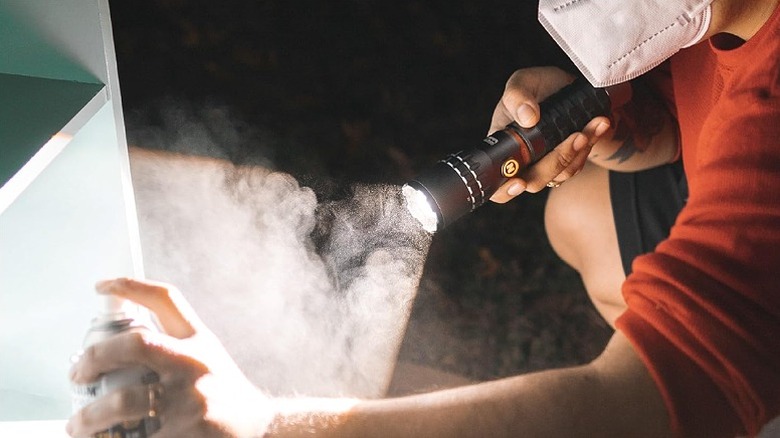 Using a flashlight to spray in cabinets.
