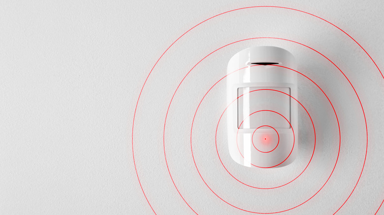 Motion sensor detecting movement