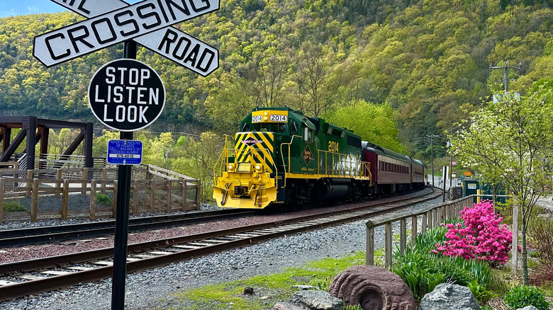 A Lehigh Gorge Scenic Railway trin pulling into a station