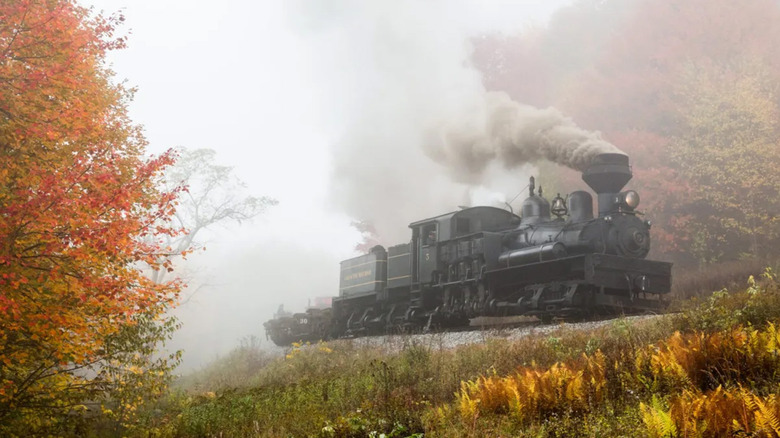 The Shay No 5 train riding through autumn foliage