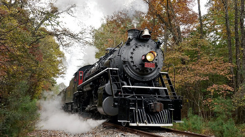 The Southern Railway 4501 train running through woods