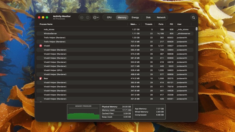 Activity Monitor app on macOS Desktop