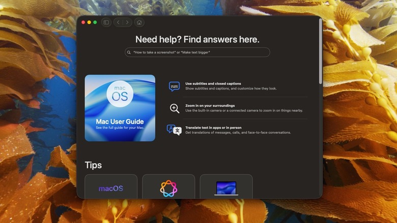 Tips app on macOS desktop