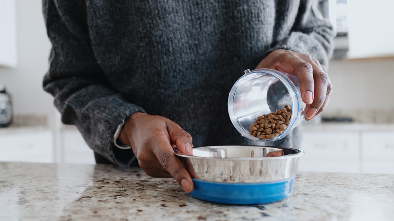 Person pouring dog food into a bowl