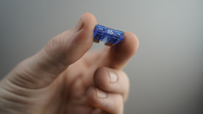 Hand holding a mini fuse