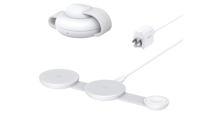 Anker maggo on white background