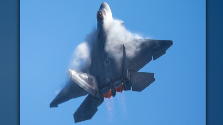 F-22 Raptor