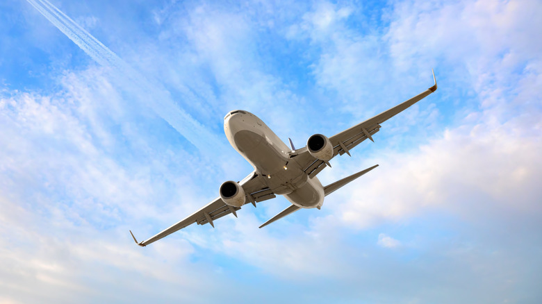 Plane in flight in cloudy sky