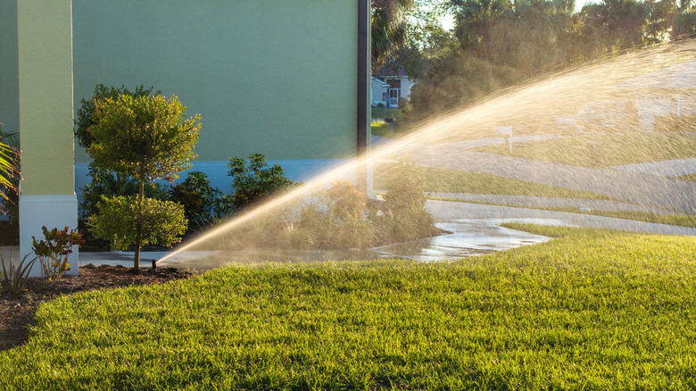 Sprinkler watering lawn