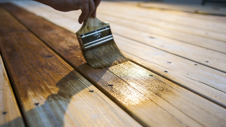 Close up of person staining deck