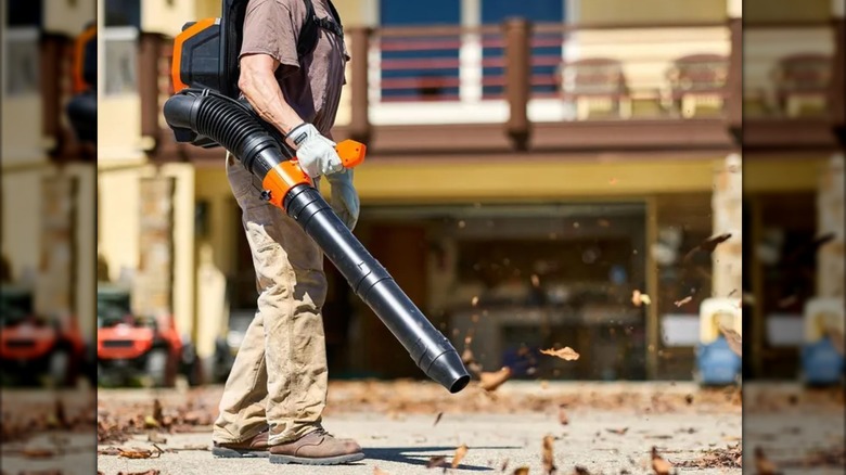 clearing leaves with Atlas blower