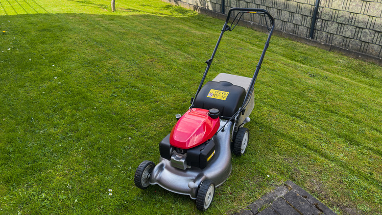 A lawn mower sitting on a small, freshly-cut yard