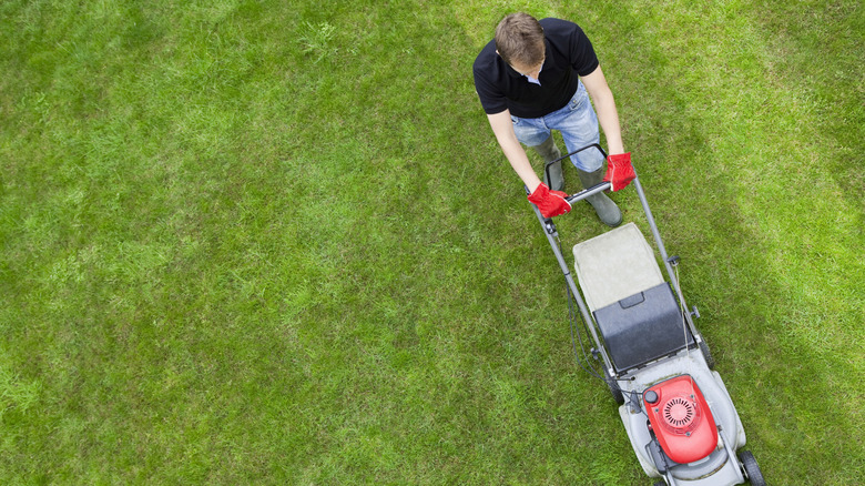 overhead view of man mowing lawn